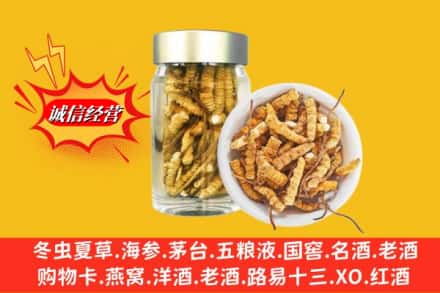 伊犁伊宁市回收散虫草