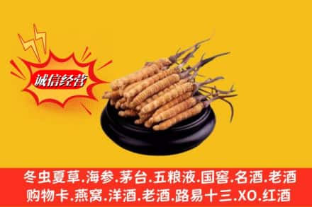 伊犁伊宁市求购回收虫草多少钱每克